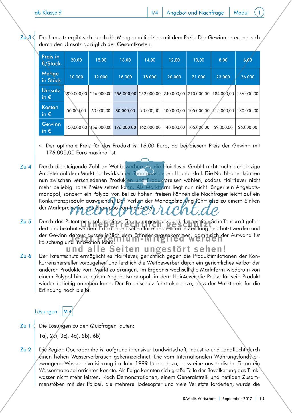 Marktarten, Marktformen und ihre gesellschaftlichen Folgen Preview 12