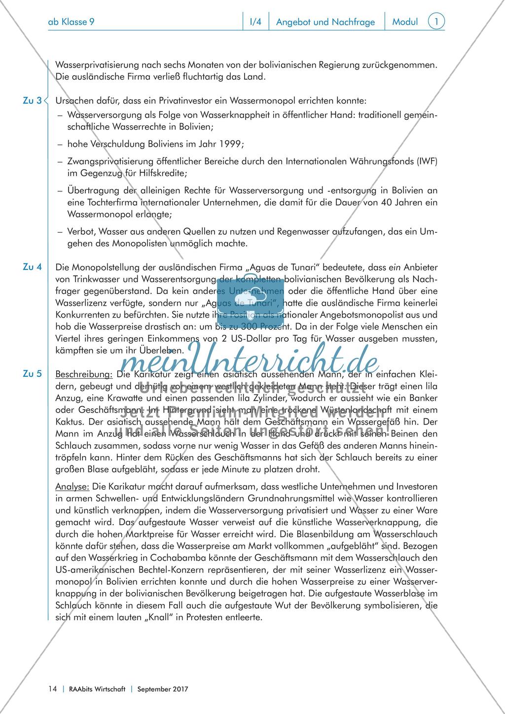 Marktarten, Marktformen und ihre gesellschaftlichen Folgen Preview 13
