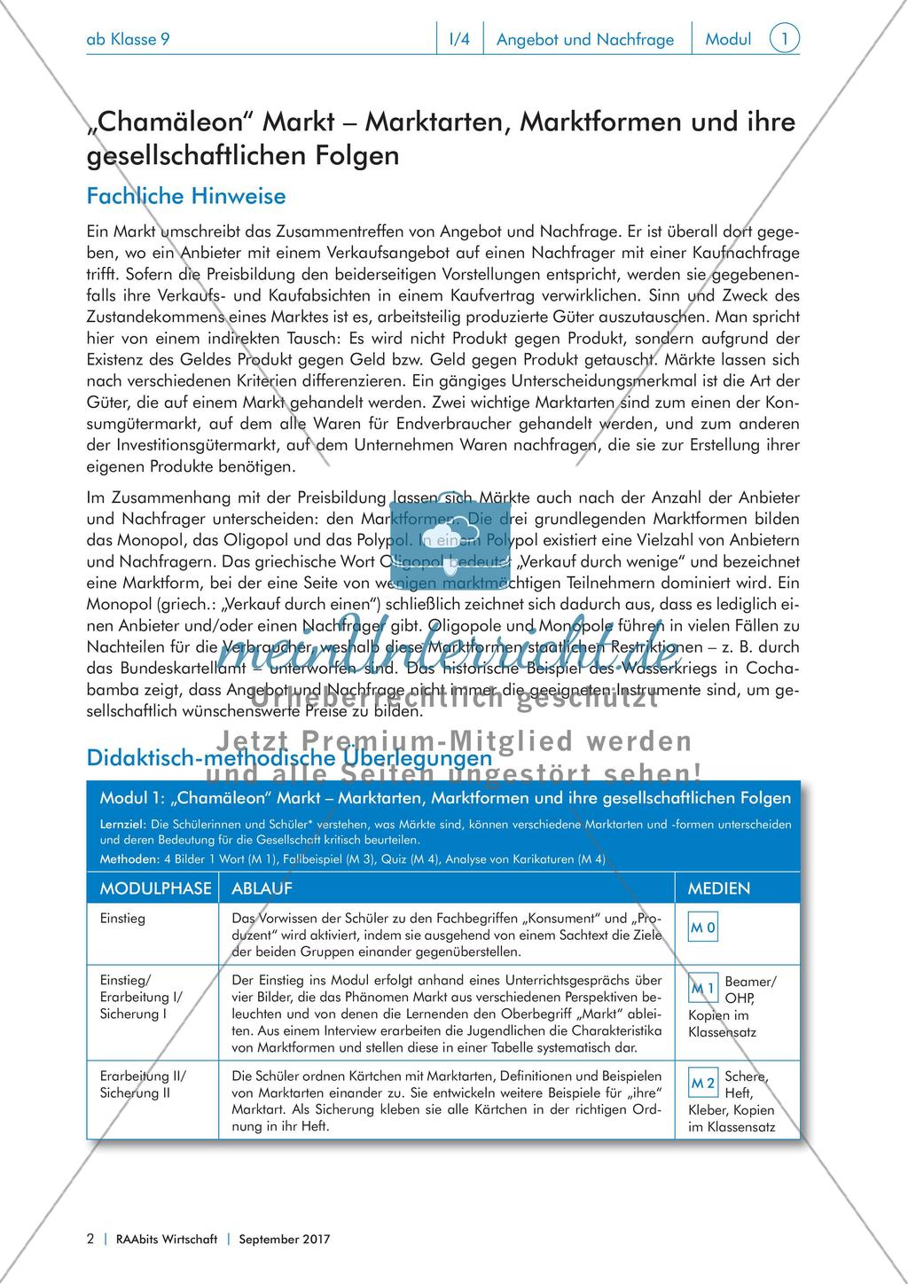 Marktarten, Marktformen und ihre gesellschaftlichen Folgen Preview 1
