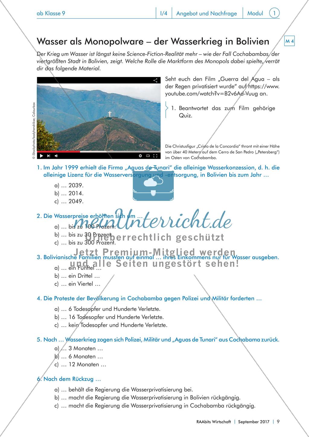 Marktarten, Marktformen und ihre gesellschaftlichen Folgen Preview 8