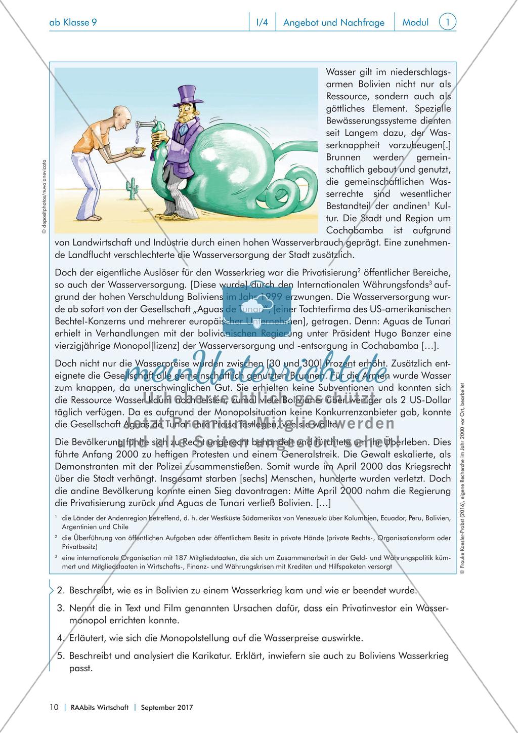 Marktarten, Marktformen und ihre gesellschaftlichen Folgen Preview 9