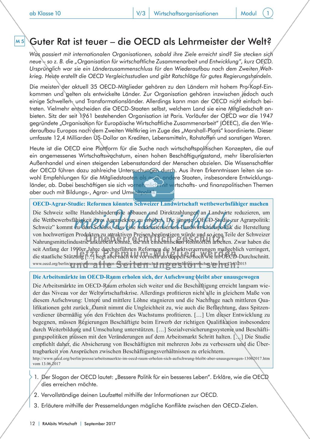 Von IWF bis WTO: internationale Wirtschaftsorganisationen im Fokus Preview 12