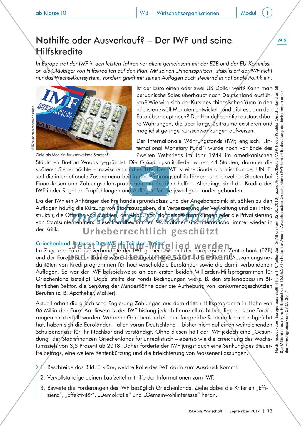 Von IWF bis WTO: internationale Wirtschaftsorganisationen im Fokus Preview 13