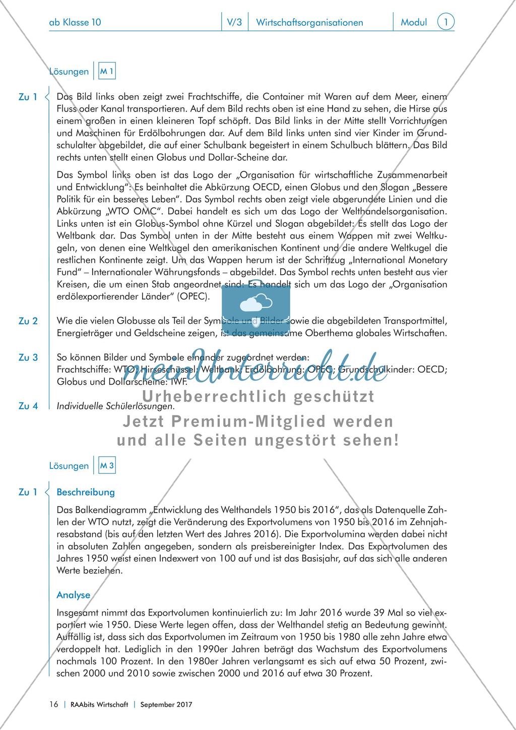 Von IWF bis WTO: internationale Wirtschaftsorganisationen im Fokus Preview 16