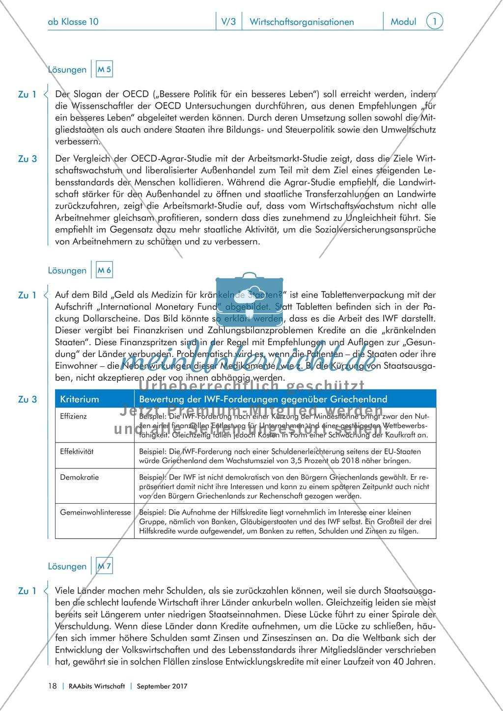 Von IWF bis WTO: internationale Wirtschaftsorganisationen im Fokus Preview 18