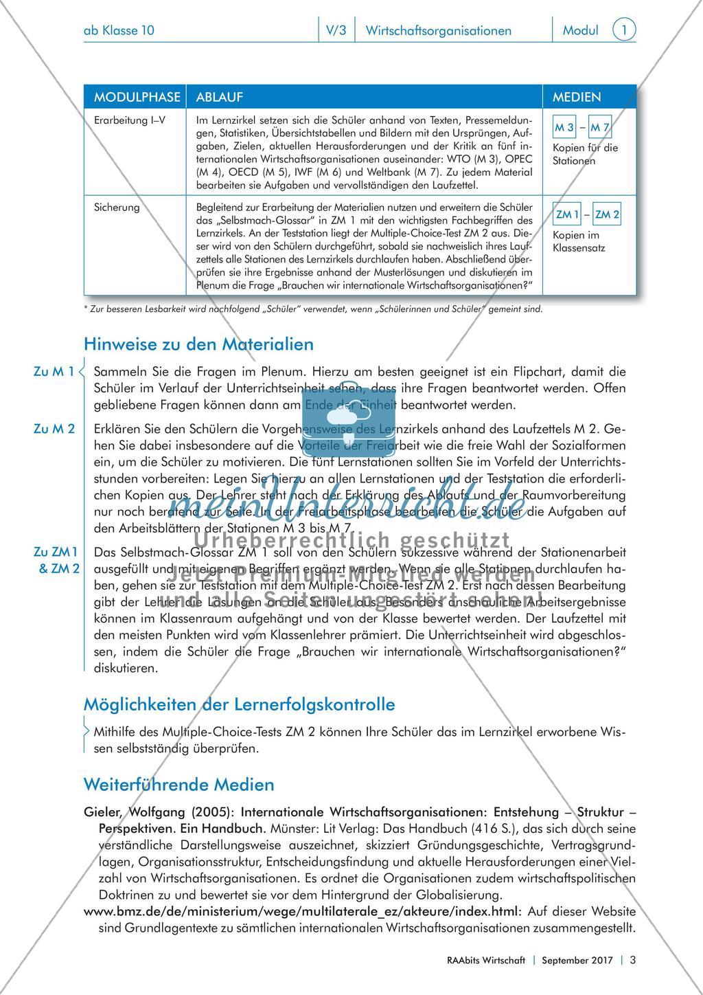 Von IWF bis WTO: internationale Wirtschaftsorganisationen im Fokus Preview 3
