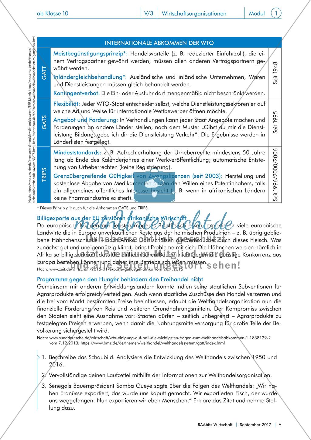 Von IWF bis WTO: internationale Wirtschaftsorganisationen im Fokus Preview 9