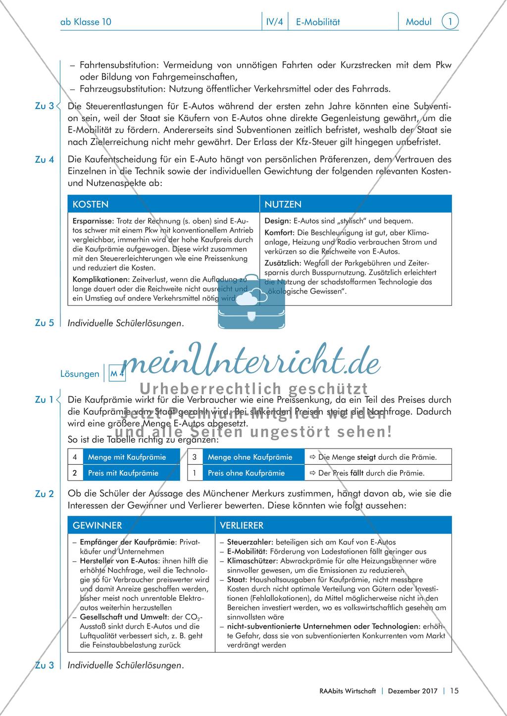 Von der Kaufprämie zum Elektroauto: Staatliche Förderung von E-Mobilität Preview 15