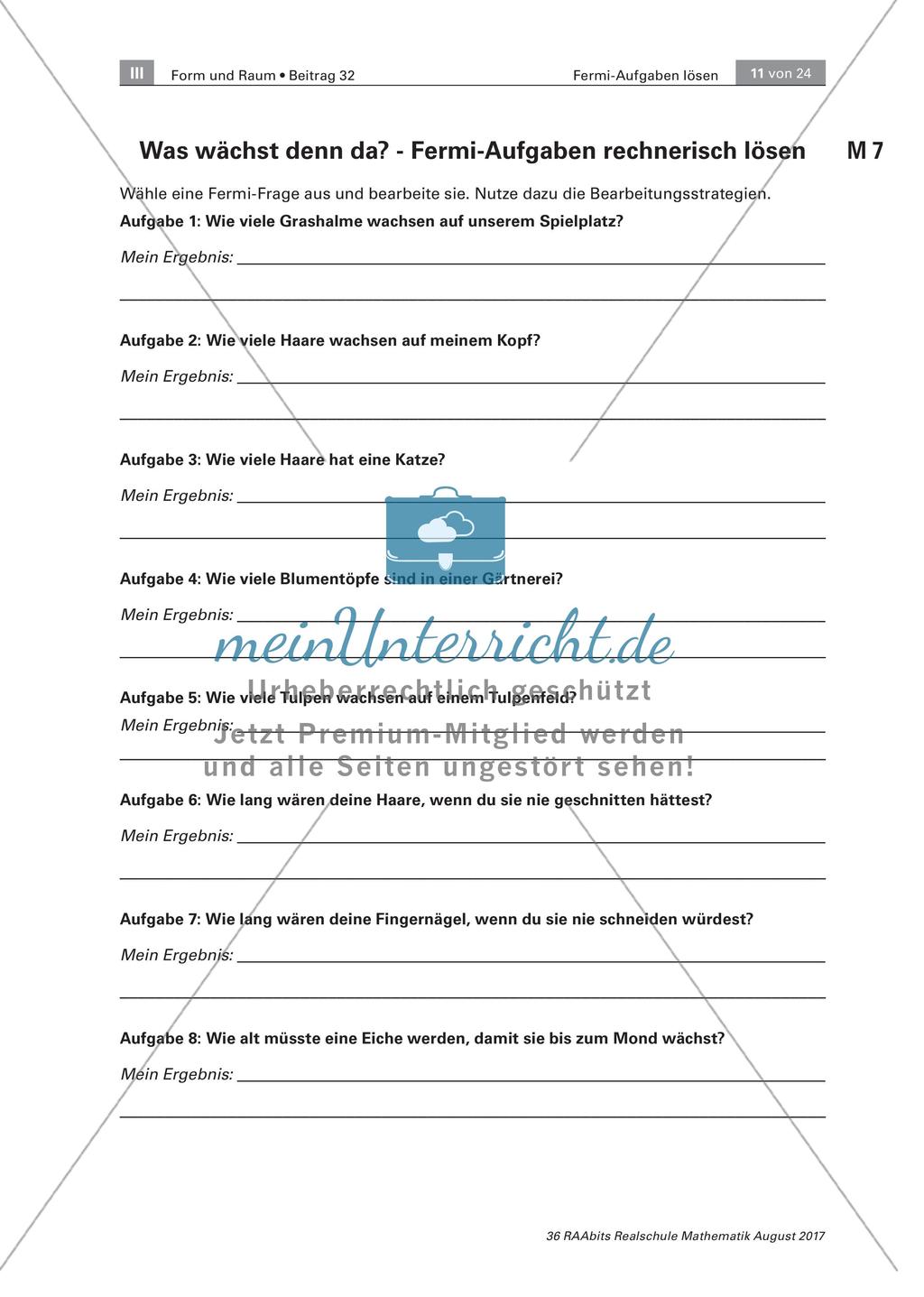 Arbeitsblätter zur Bearbeitung der Fermiaufgabe Preview 7