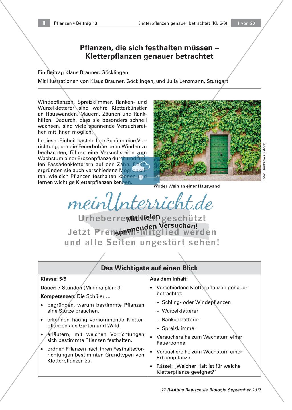 Untersuchen von Kletterpflanzen Preview 1