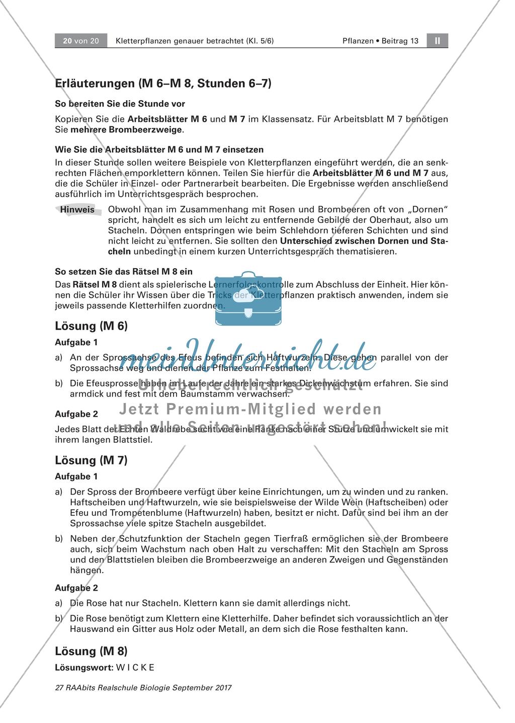 Untersuchen von Kletterpflanzen Preview 20