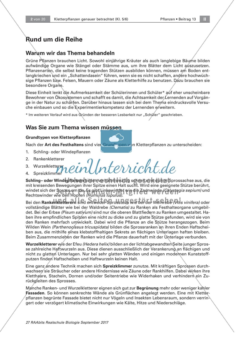 Untersuchen von Kletterpflanzen Preview 2