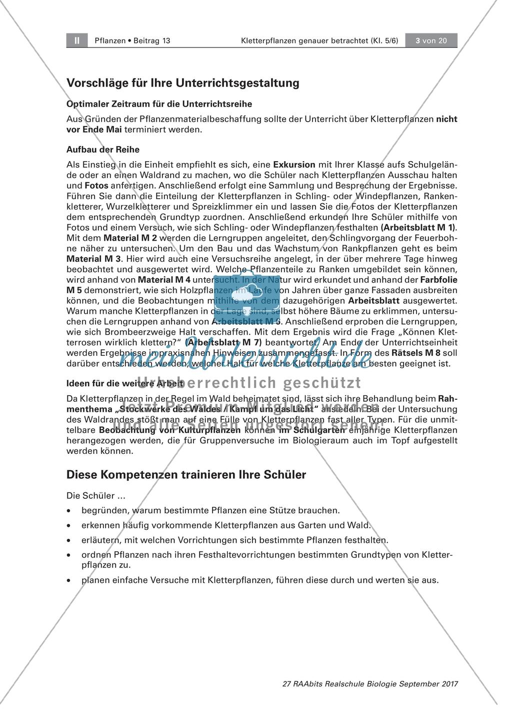 Untersuchen von Kletterpflanzen Preview 3