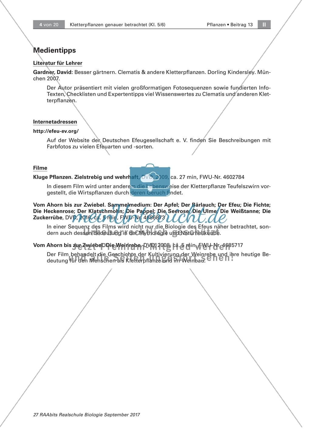 Untersuchen von Kletterpflanzen Preview 4