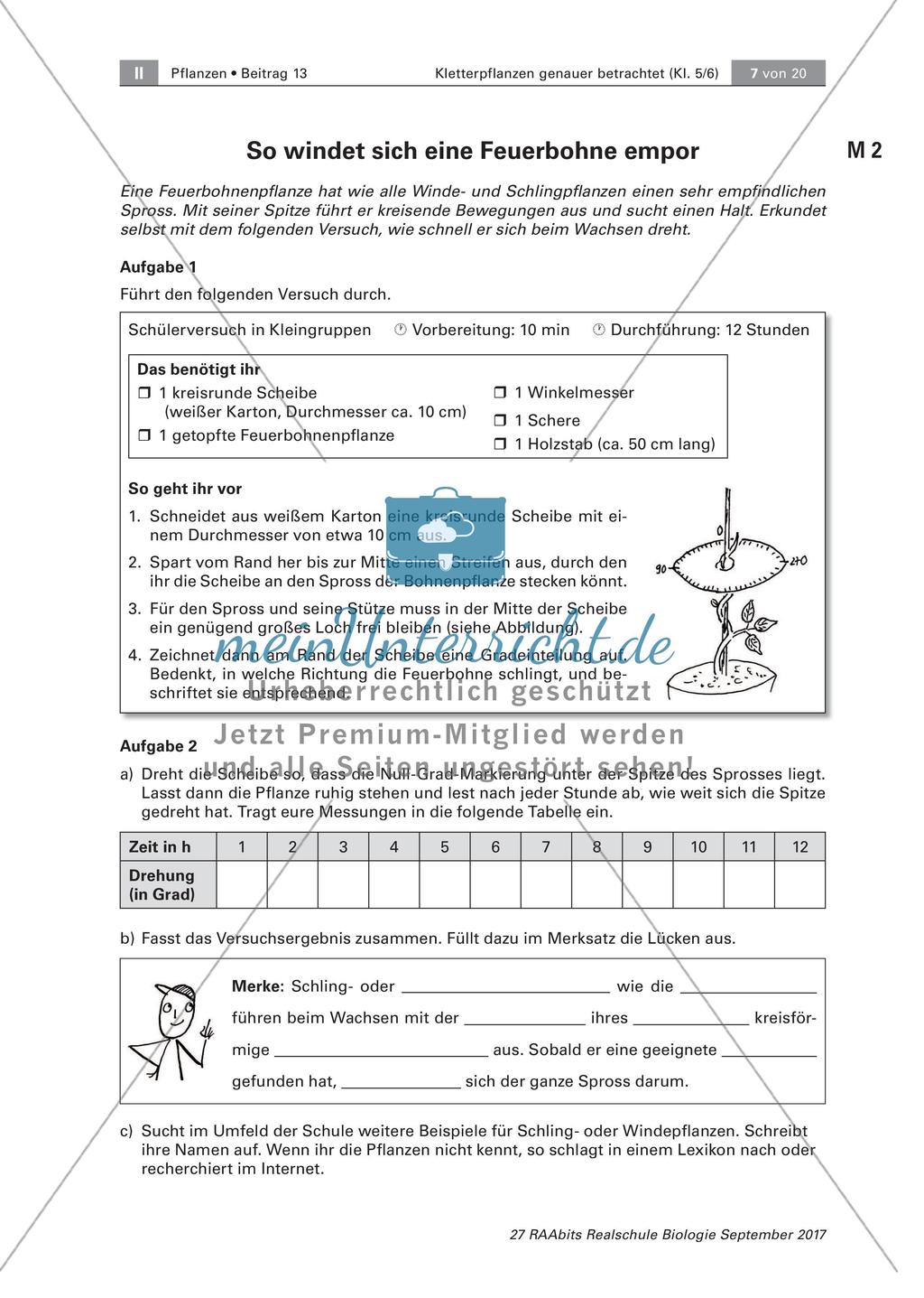Untersuchen von Kletterpflanzen Preview 7
