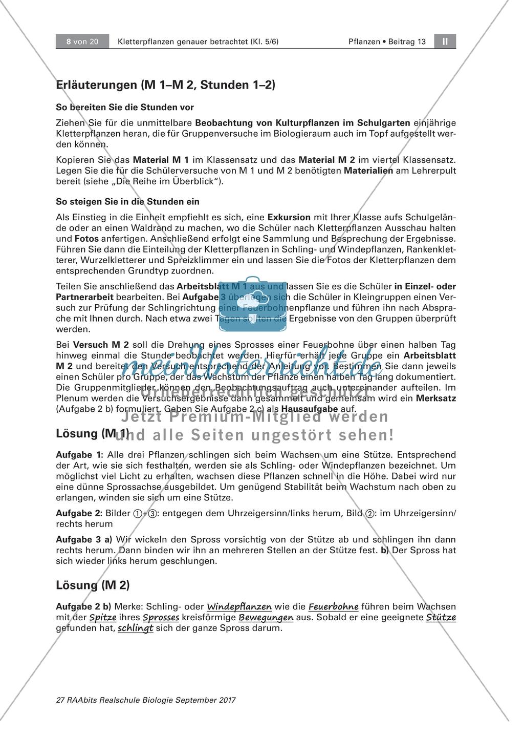 Untersuchen von Kletterpflanzen Preview 8