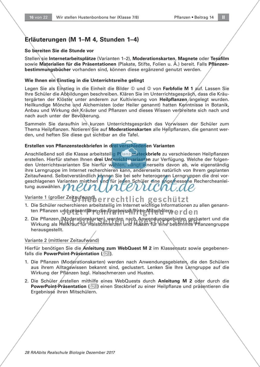 Heilpflanzen: Steckbrief Preview 10