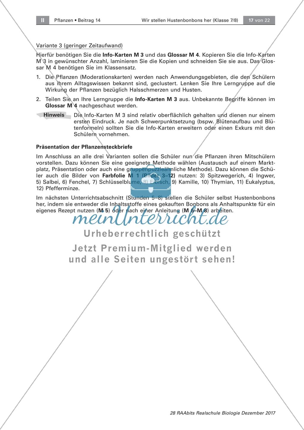 Heilpflanzen: Steckbrief Preview 11