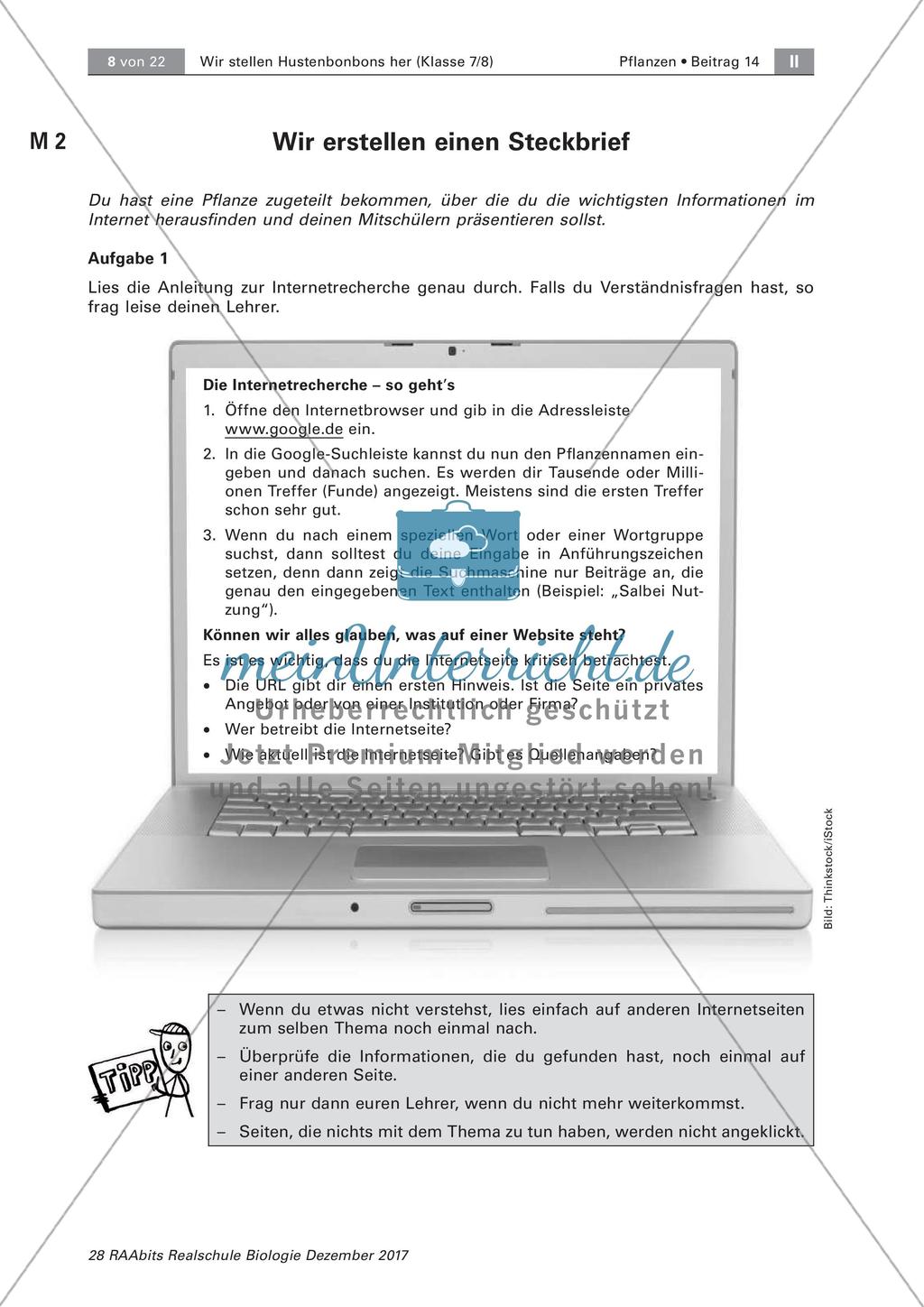 Heilpflanzen: Steckbrief Preview 2