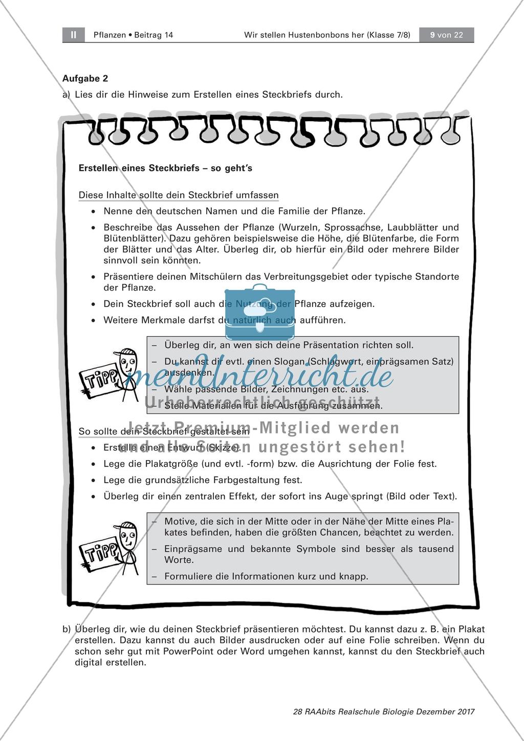 Heilpflanzen: Steckbrief Preview 3