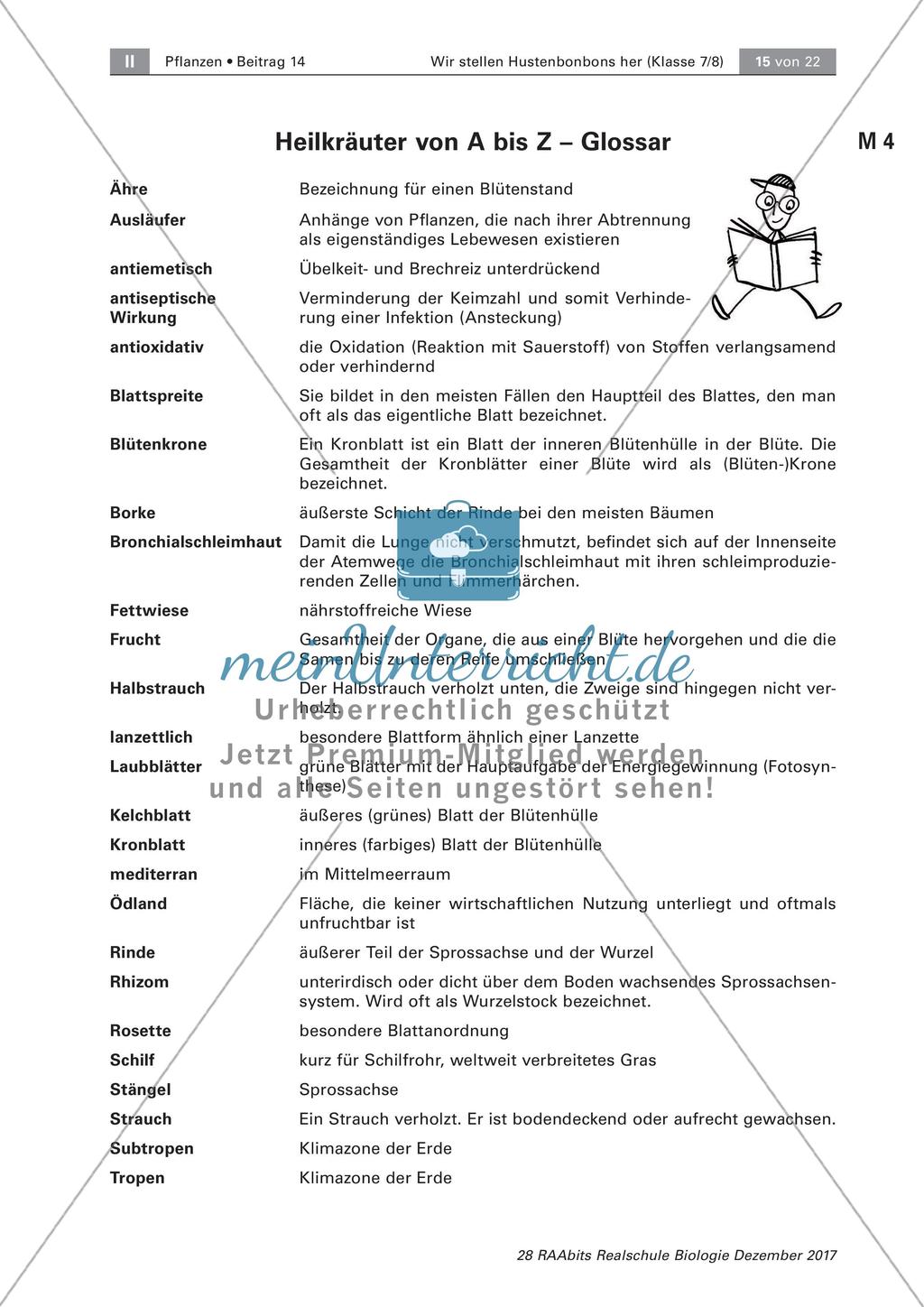 Heilpflanzen: Steckbrief Preview 9