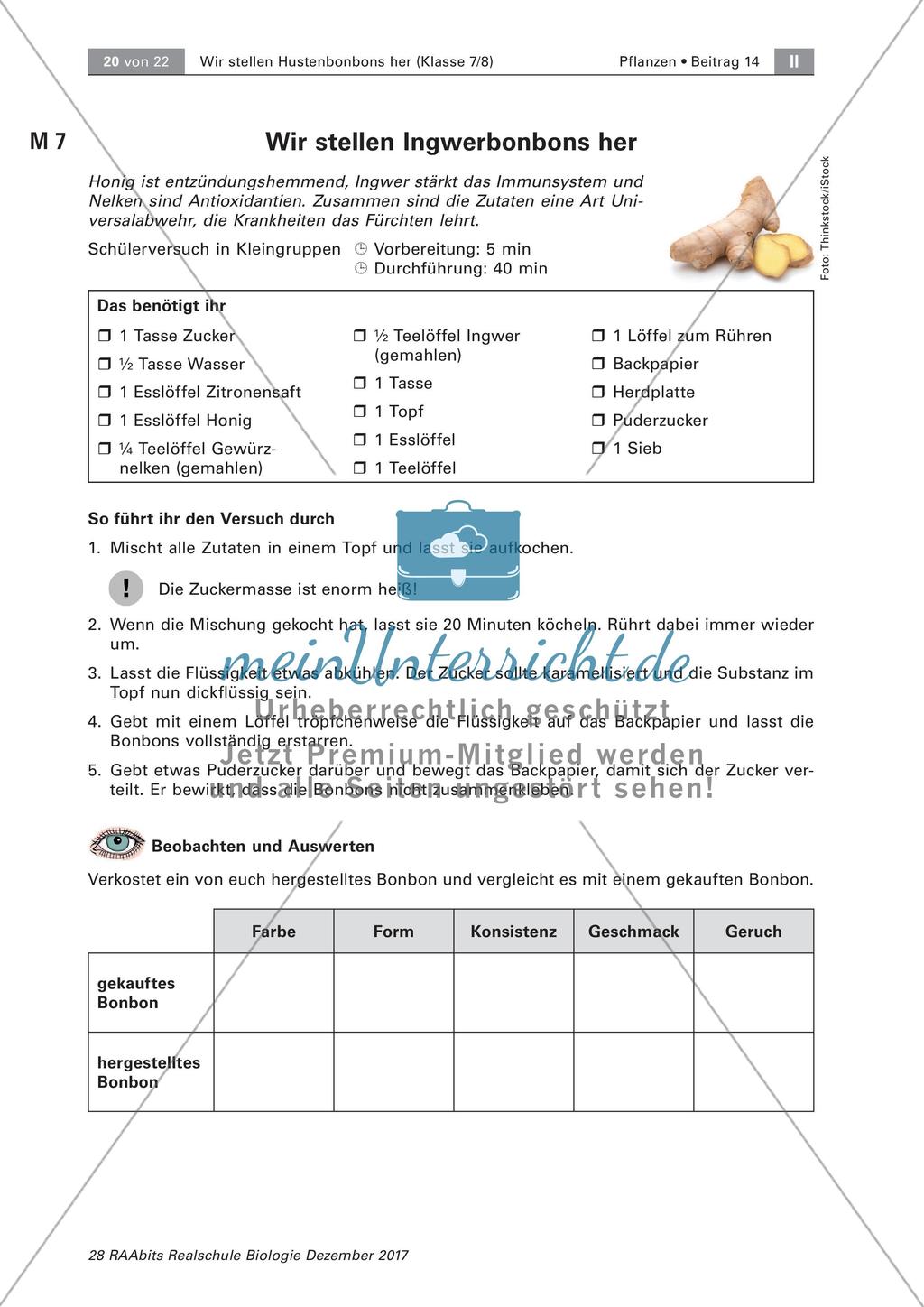 Heilpflanzen: Herstellen von Hustenbonbons Preview 3