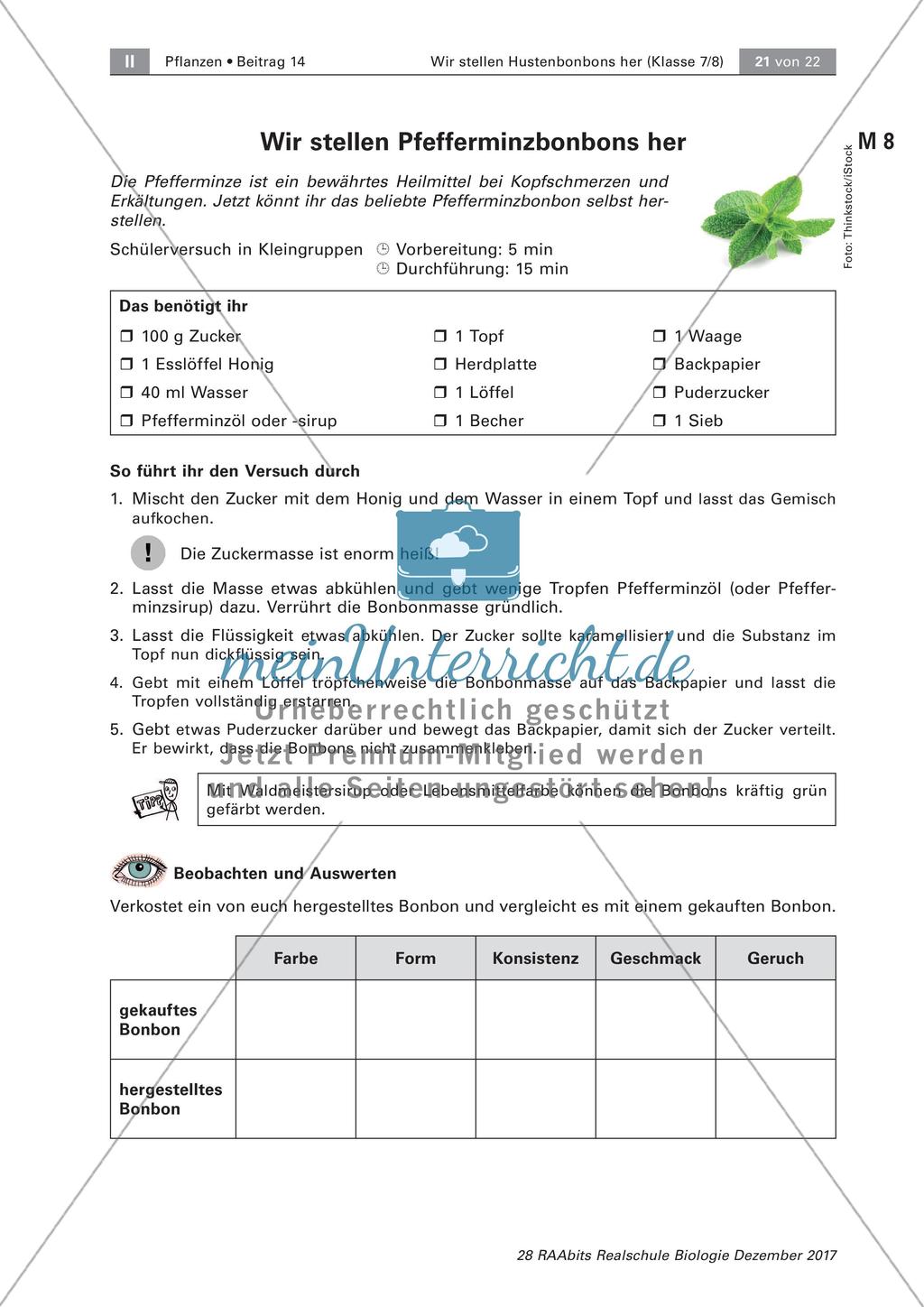 Heilpflanzen: Herstellen von Hustenbonbons Preview 4