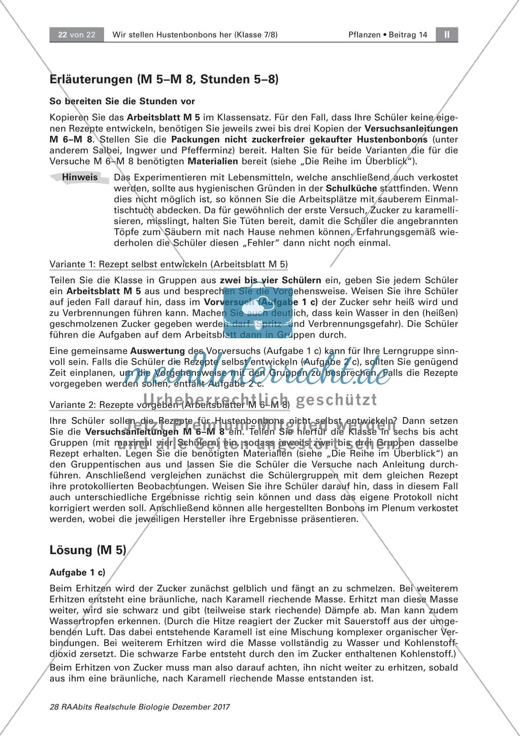 Heilpflanzen: Herstellen von Hustenbonbons Preview 5