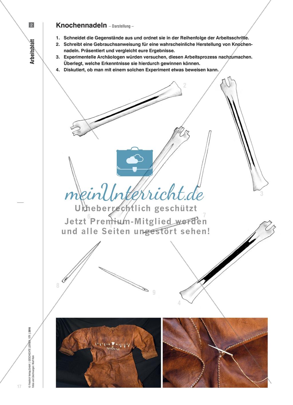 Knochenarbeit - Vom archäologischen Fund zum Forschungsergebnis Preview 4