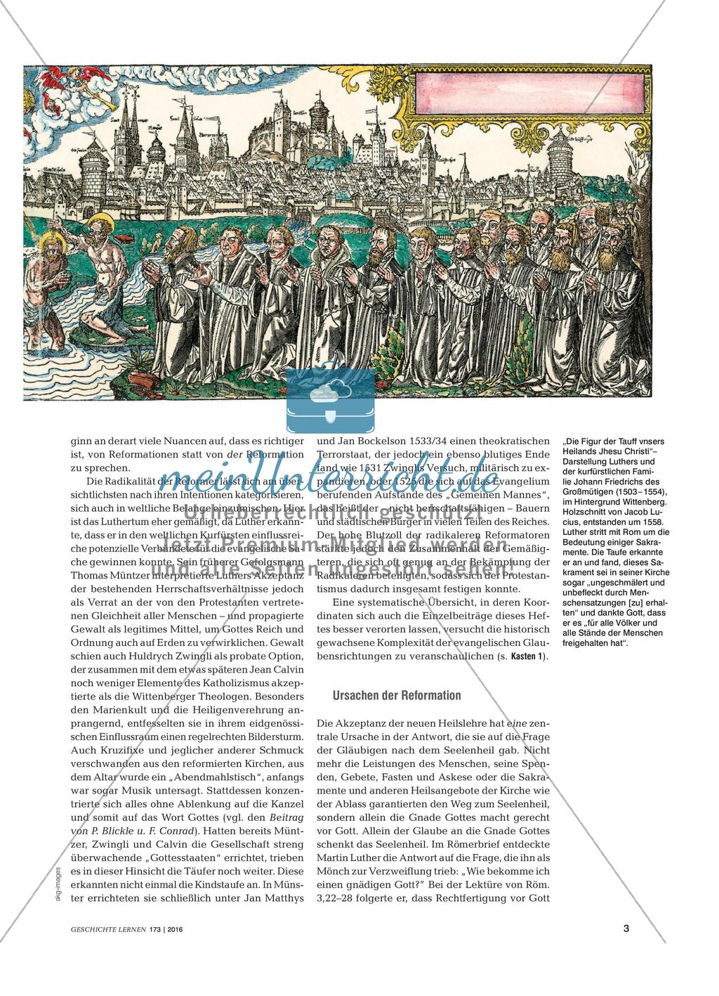 500 Jahre Reformation(en) - Religiöse Erneuerung, weltgeschichtliche Folgen und erinnerungspolitisches Großereignis Preview 2