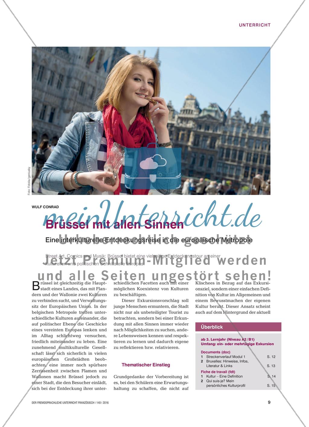 Brüssel mit allen Sinnen - Eine interkulturelle Entdeckungsreise in die europäische Metropole Preview 1