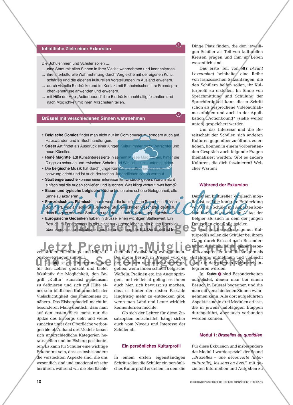 Brüssel mit allen Sinnen - Eine interkulturelle Entdeckungsreise in die europäische Metropole Preview 2