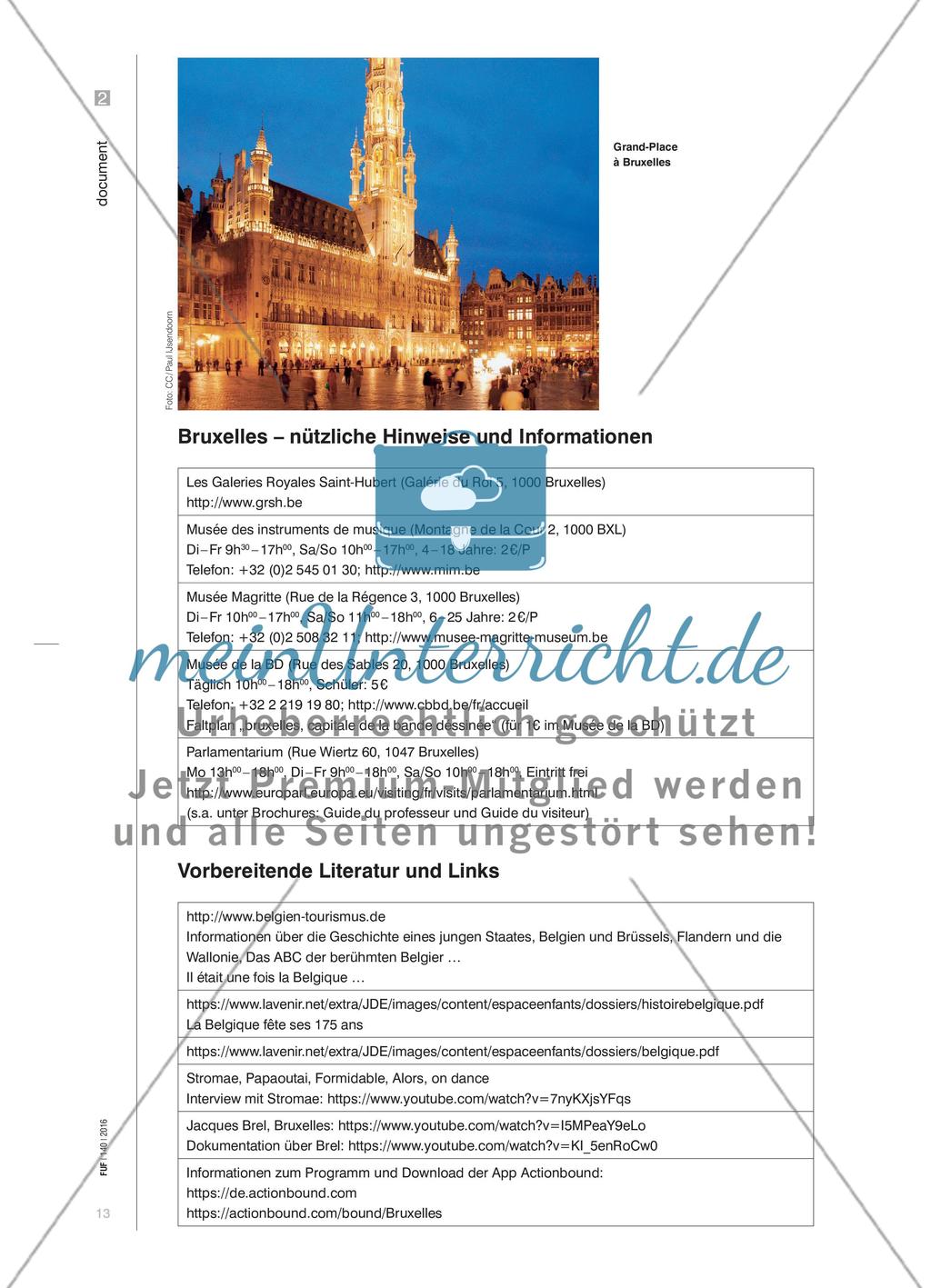 Brüssel mit allen Sinnen - Eine interkulturelle Entdeckungsreise in die europäische Metropole Preview 5