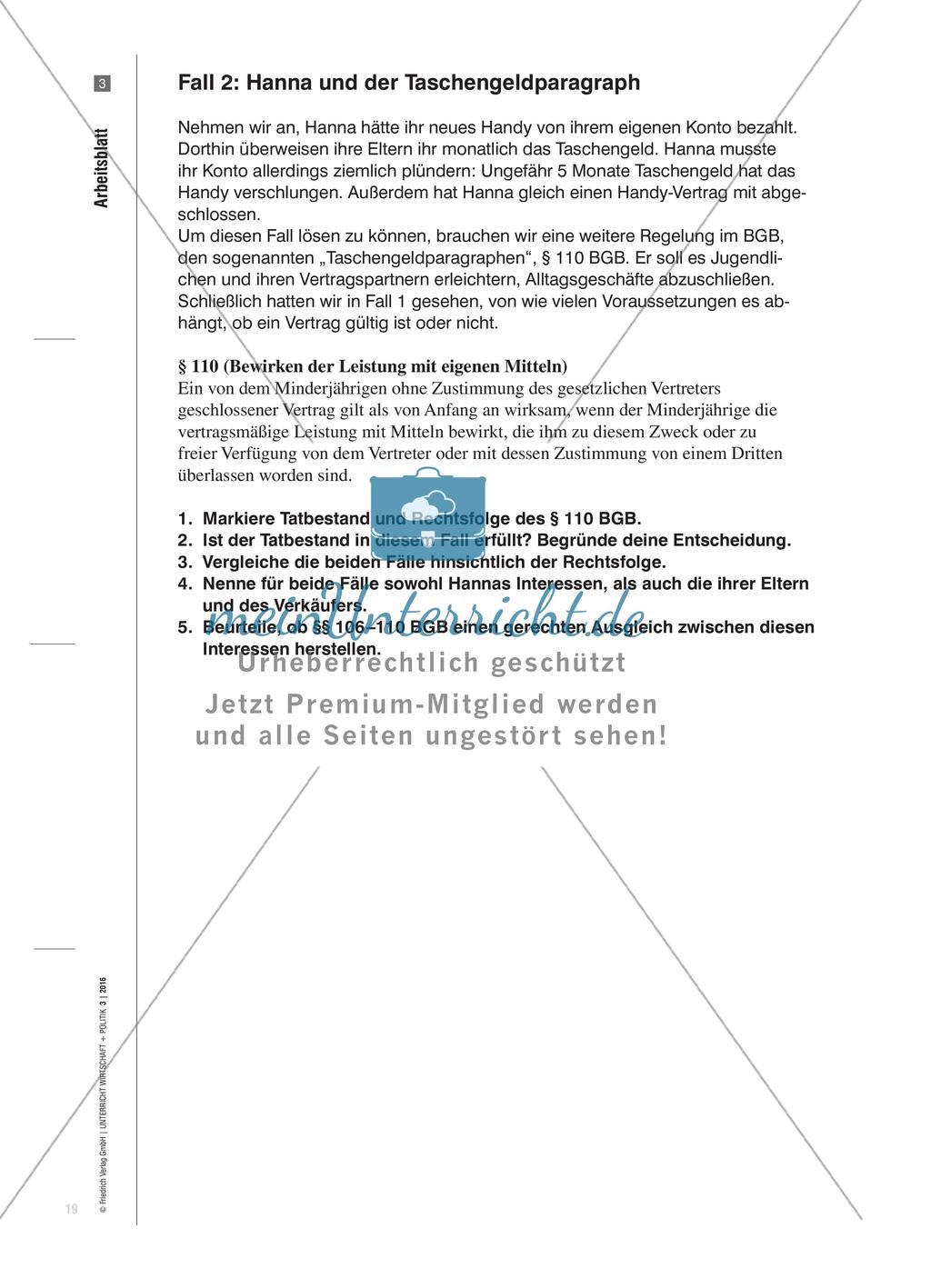 Alles, was Recht ist? - Der Rechtsschutz jugendlicher Konsumenten im Online-Zeitalter Preview 6