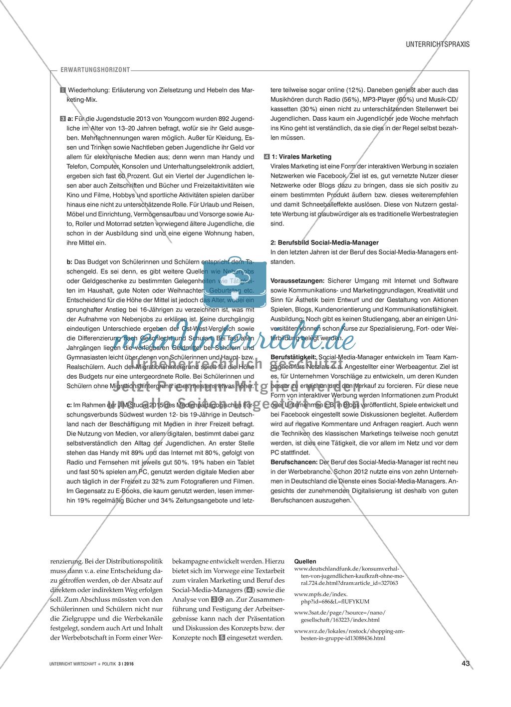Jugend und Konsum im Blick des Marketings - Eine projektorientierte Unterrichtseinheit Preview 3