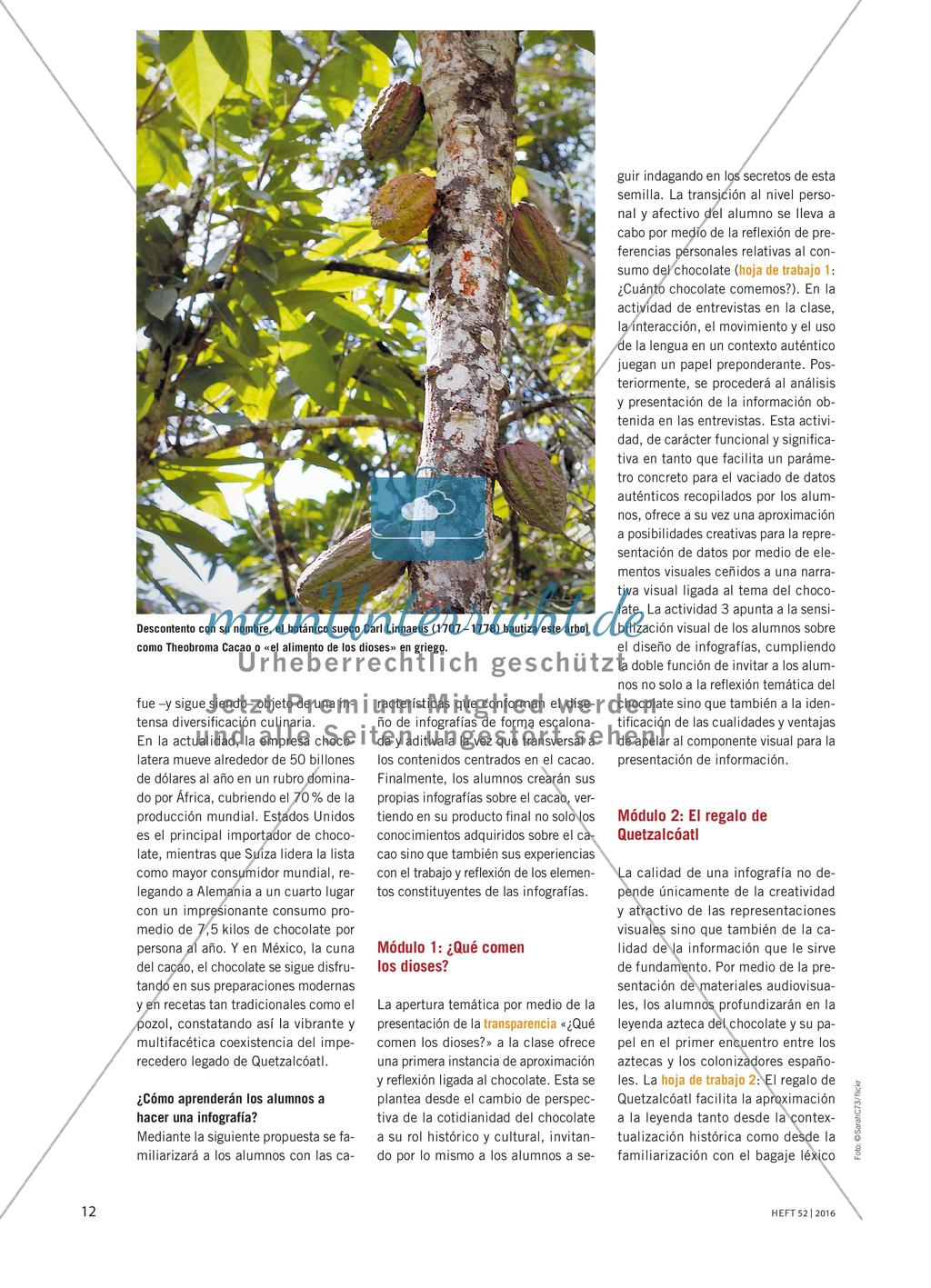 El chocolate, el alimento de los dioses Preview 3