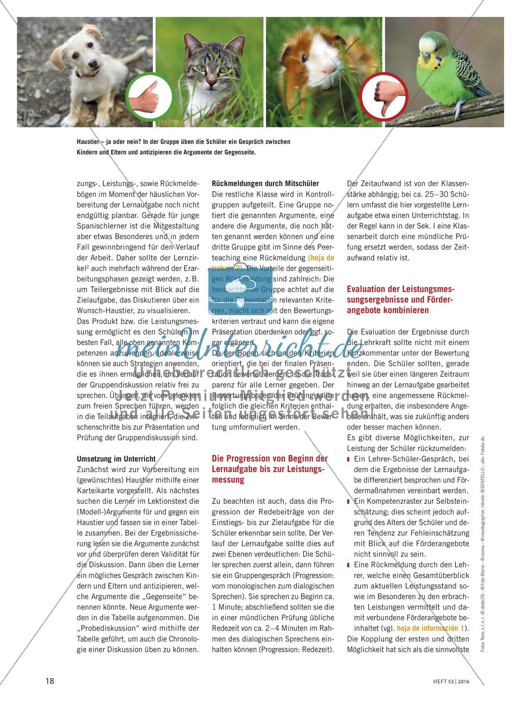 Evaluation von Lernaufgaben - Individuelle Förderung junger Spanischlerner Preview 2