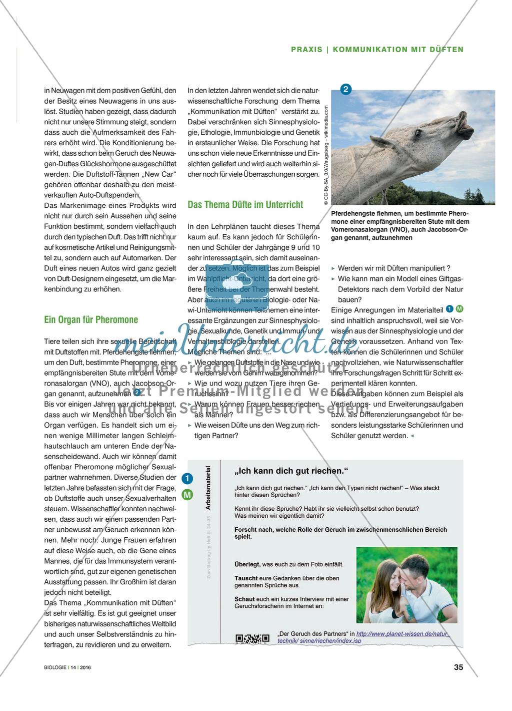 Vom Markendesign bis zur Partnerwahl - Kommunikation mit Düften Preview 2