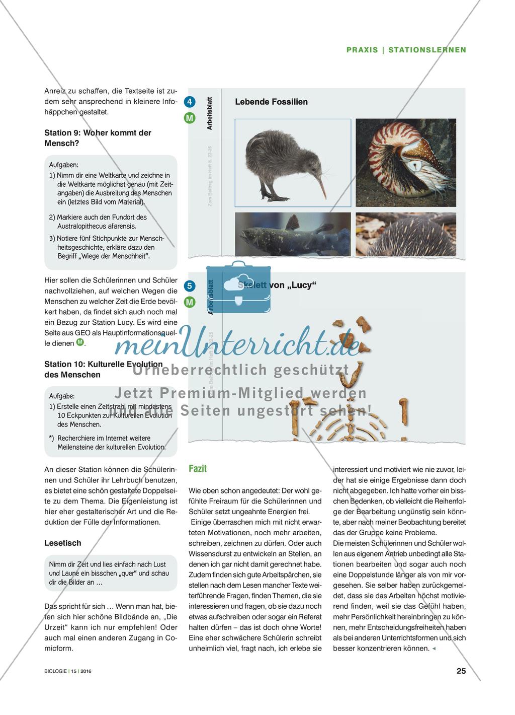Ötzi, Lucy, Archaeopteryx und Co. - Evolution in ausgewählten Portionen Preview 4