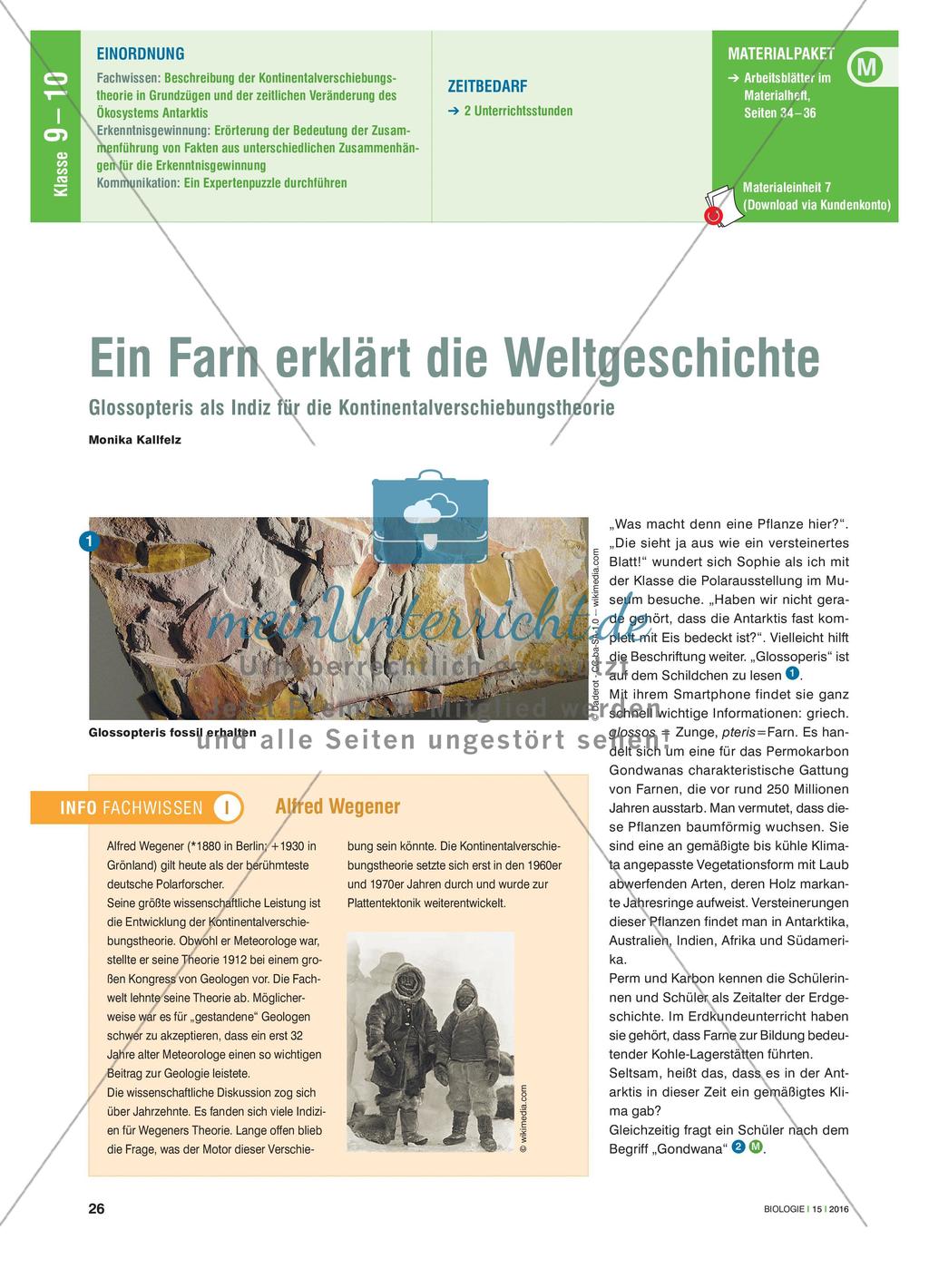 Ein Farn erklärt die Weltgeschichte - Glossopteris als Indiz für die Kontinentalverschiebungstheorie Preview 1