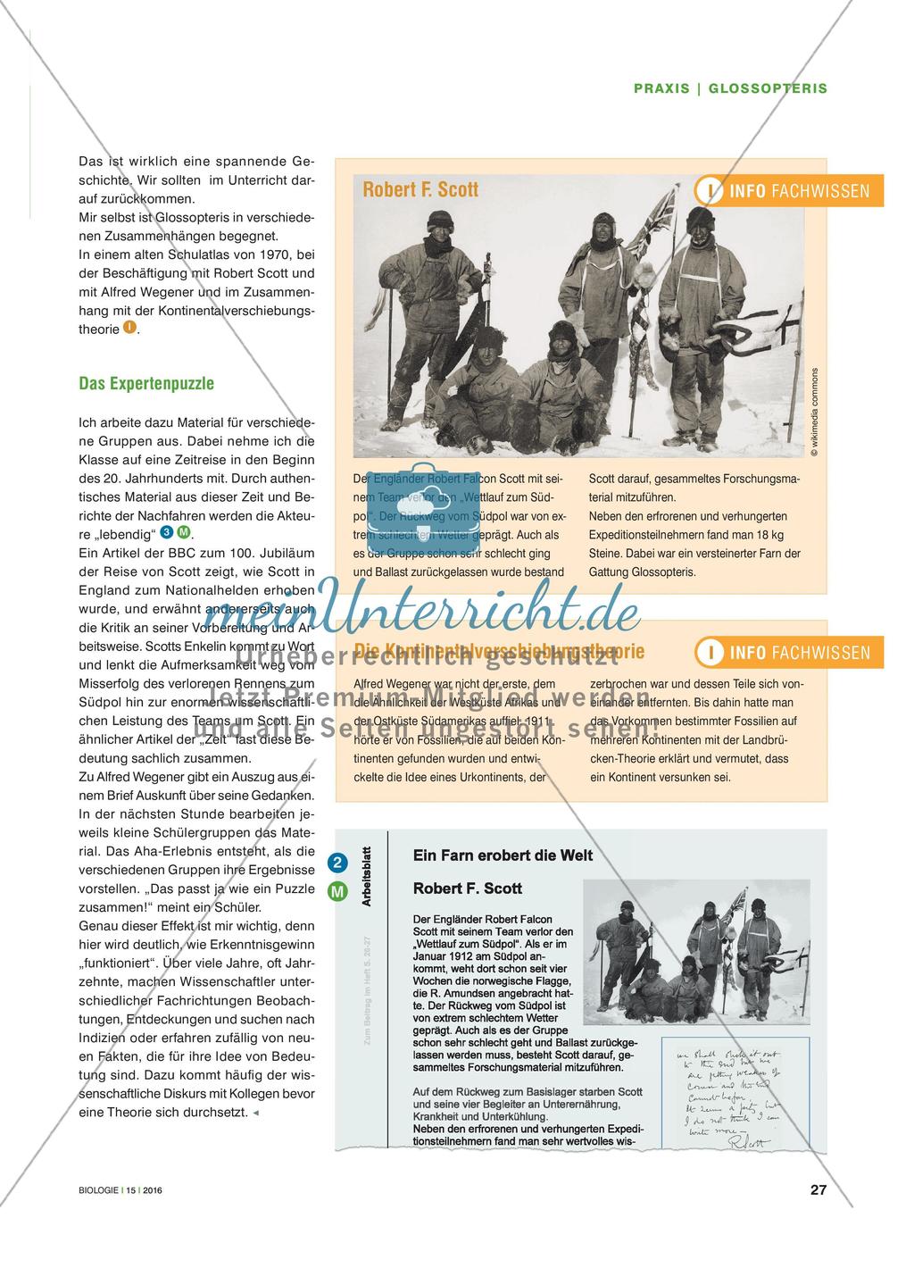 Ein Farn erklärt die Weltgeschichte - Glossopteris als Indiz für die Kontinentalverschiebungstheorie Preview 2