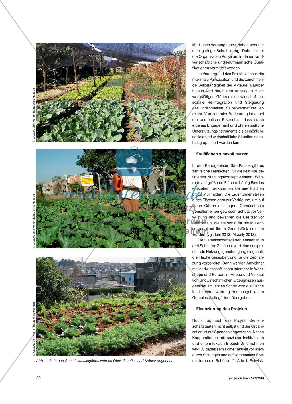 Städte ohne Hunger – nur eine Vision?: Ein Projekt zur urbanen Ernährungssicherung in São Paulo Preview 2