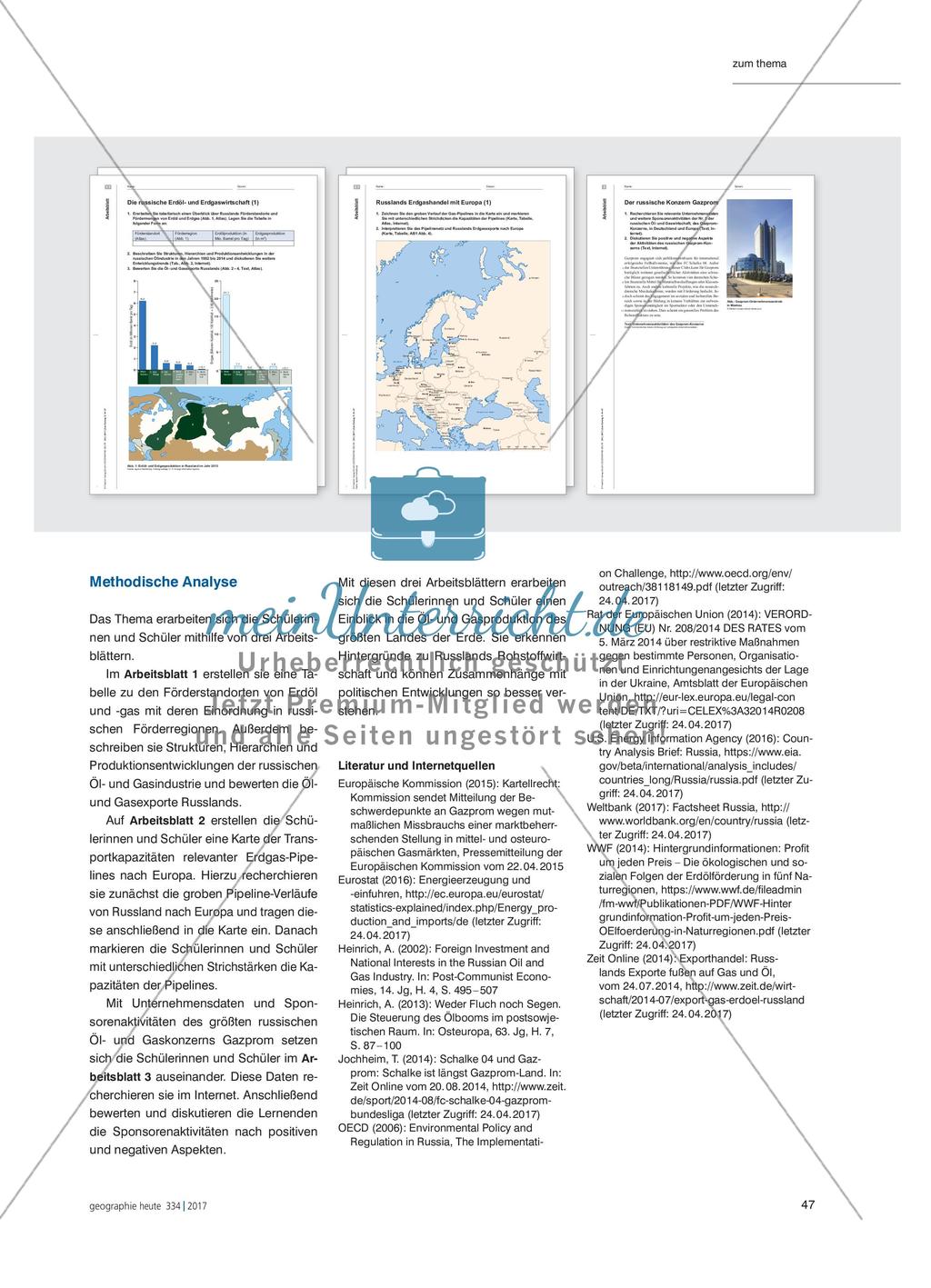 Rohstoffexportnation Russland - Einblicke in die russische Erdöl- und Erdgaswirtschaft Preview 4