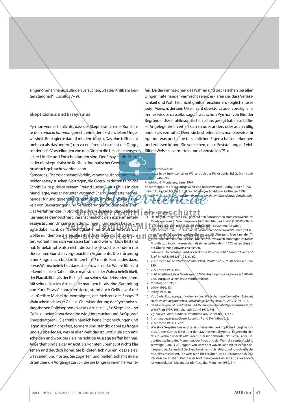 Essay und Epoché: ein Versuch über skeptische Distanz Preview 3