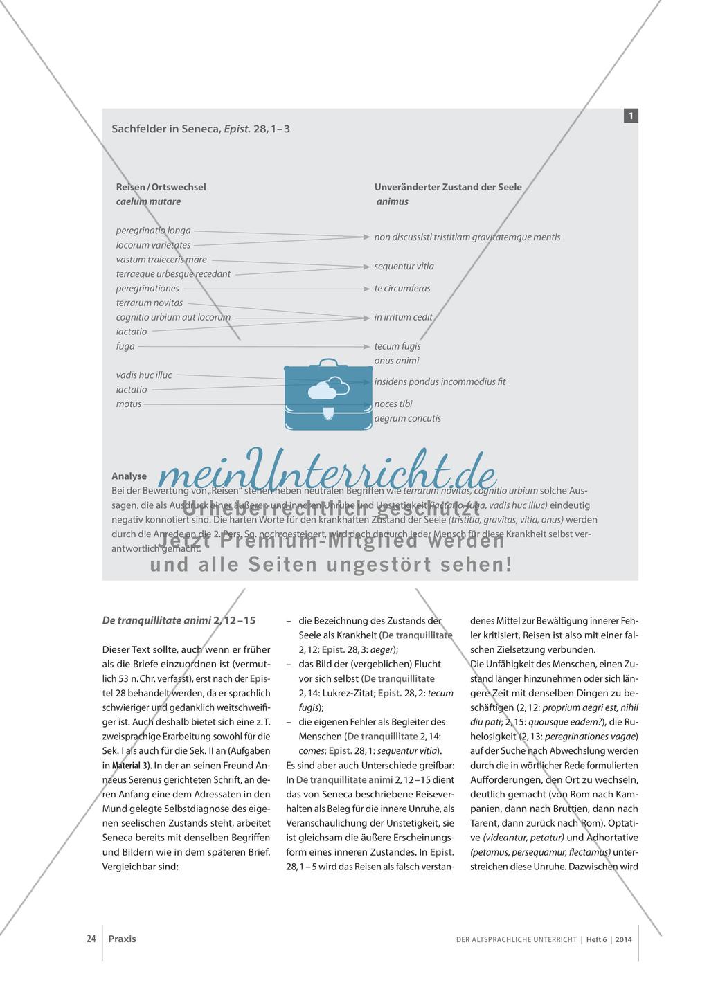 animum debes mutare, non caelum - Seneca und der Reisetourismus in Rom Preview 3