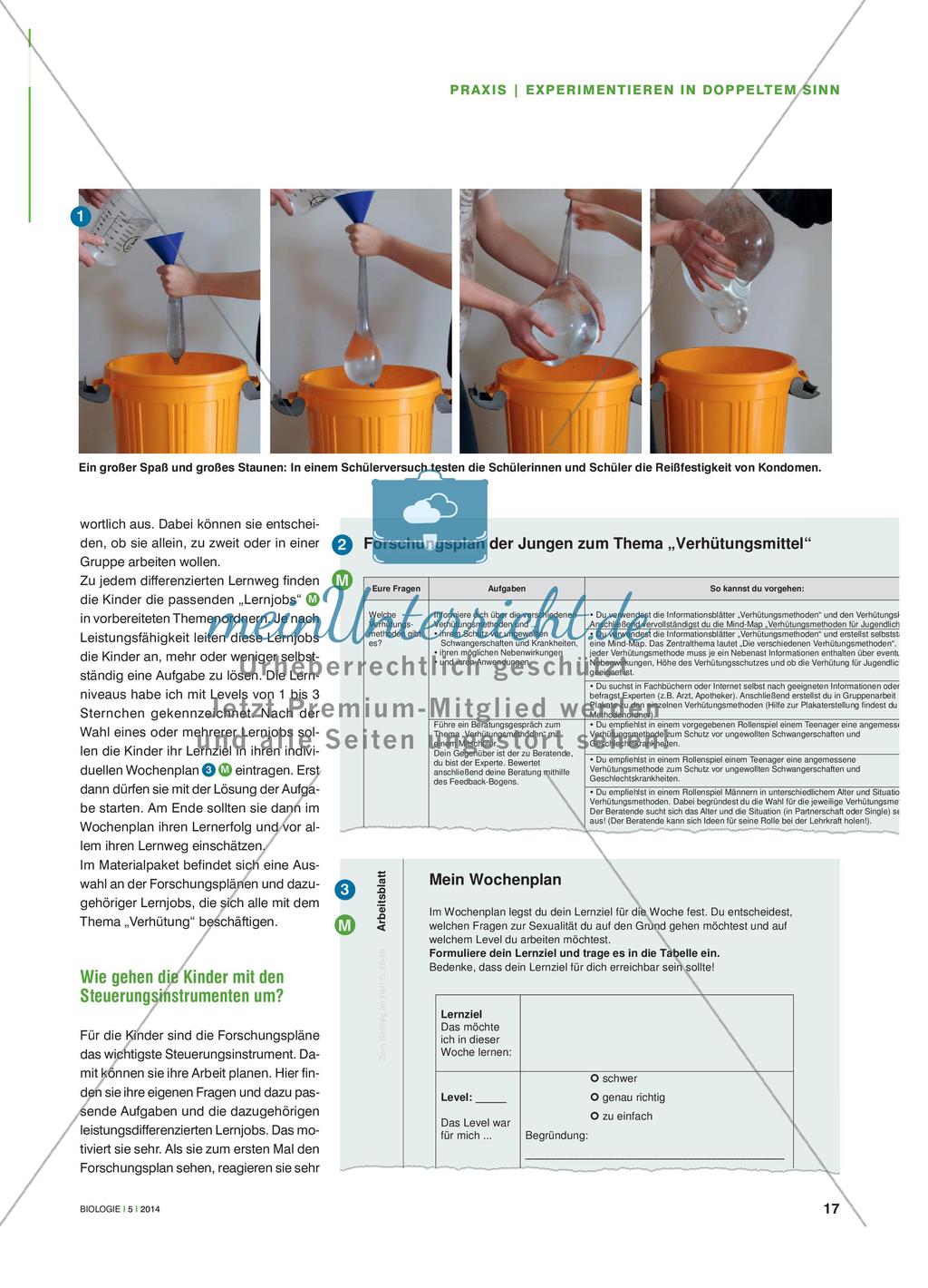 Experimentieren in doppeltem Sinn - Die Arbeit mit Lernjobs, Forschungs- und Wochenplänen Preview 2