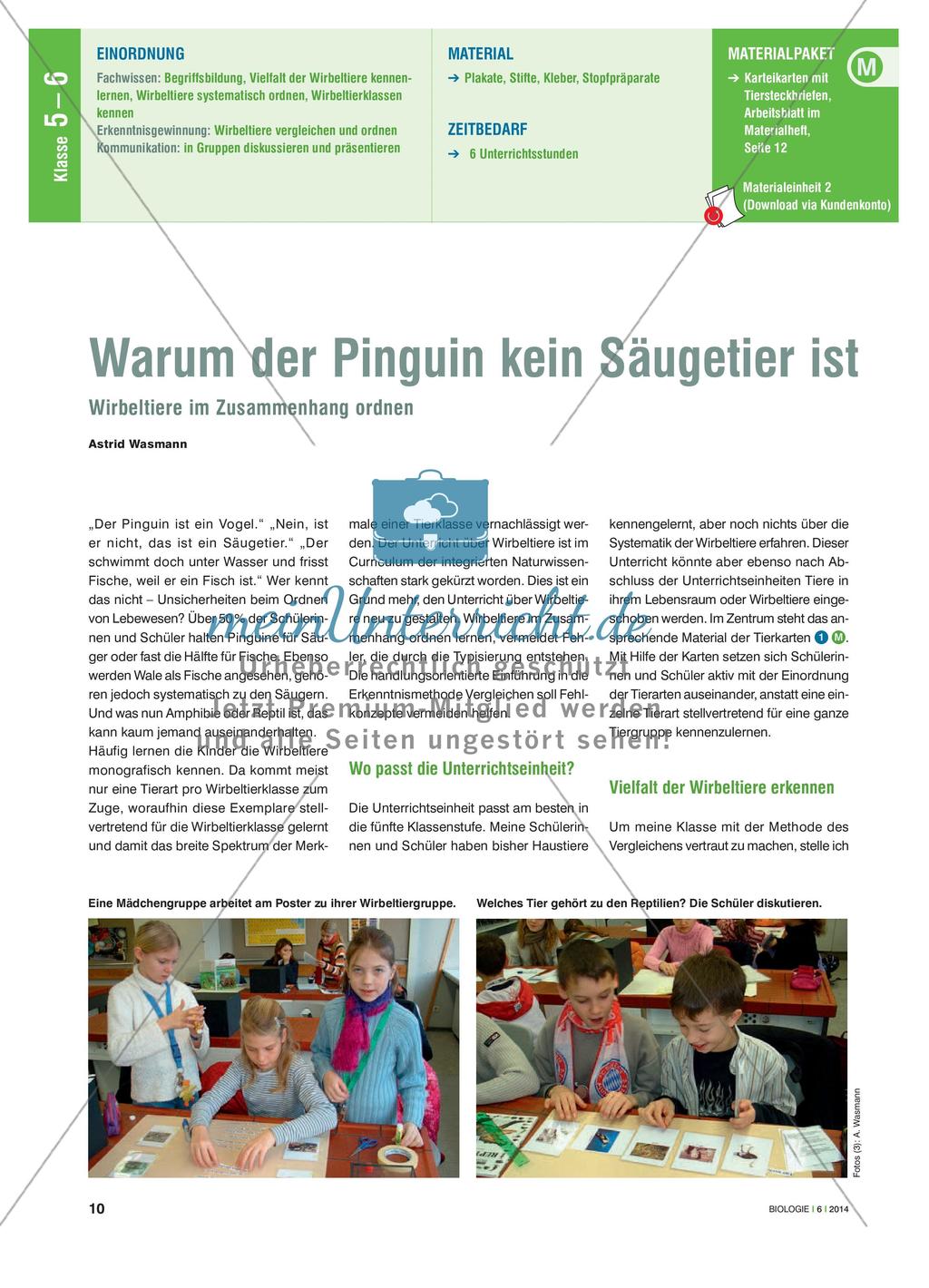 Warum der Pinguin kein Säugetier ist - Wirbeltiere im Zusammenhang ordnen Preview 1