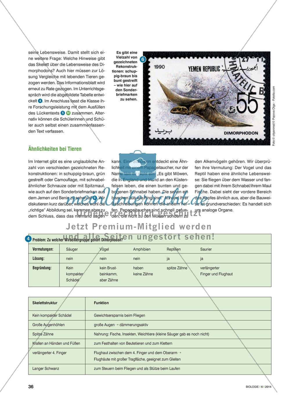 Was ist ein Dimorphodon? - Einen Fossilienfund auswerten und einer Wirbeltierklasse zuordnen Preview 3