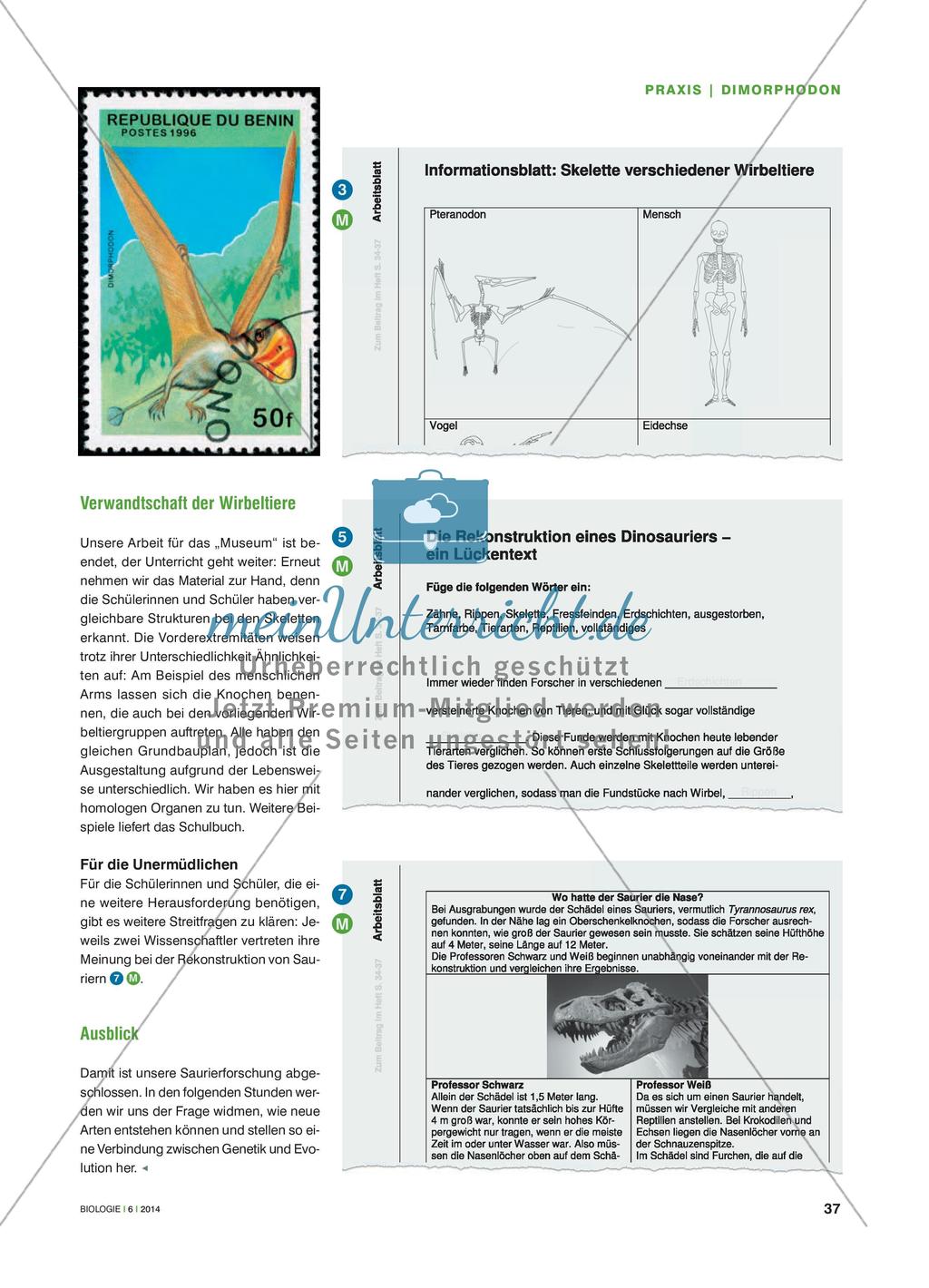 Was ist ein Dimorphodon? - Einen Fossilienfund auswerten und einer Wirbeltierklasse zuordnen Preview 4