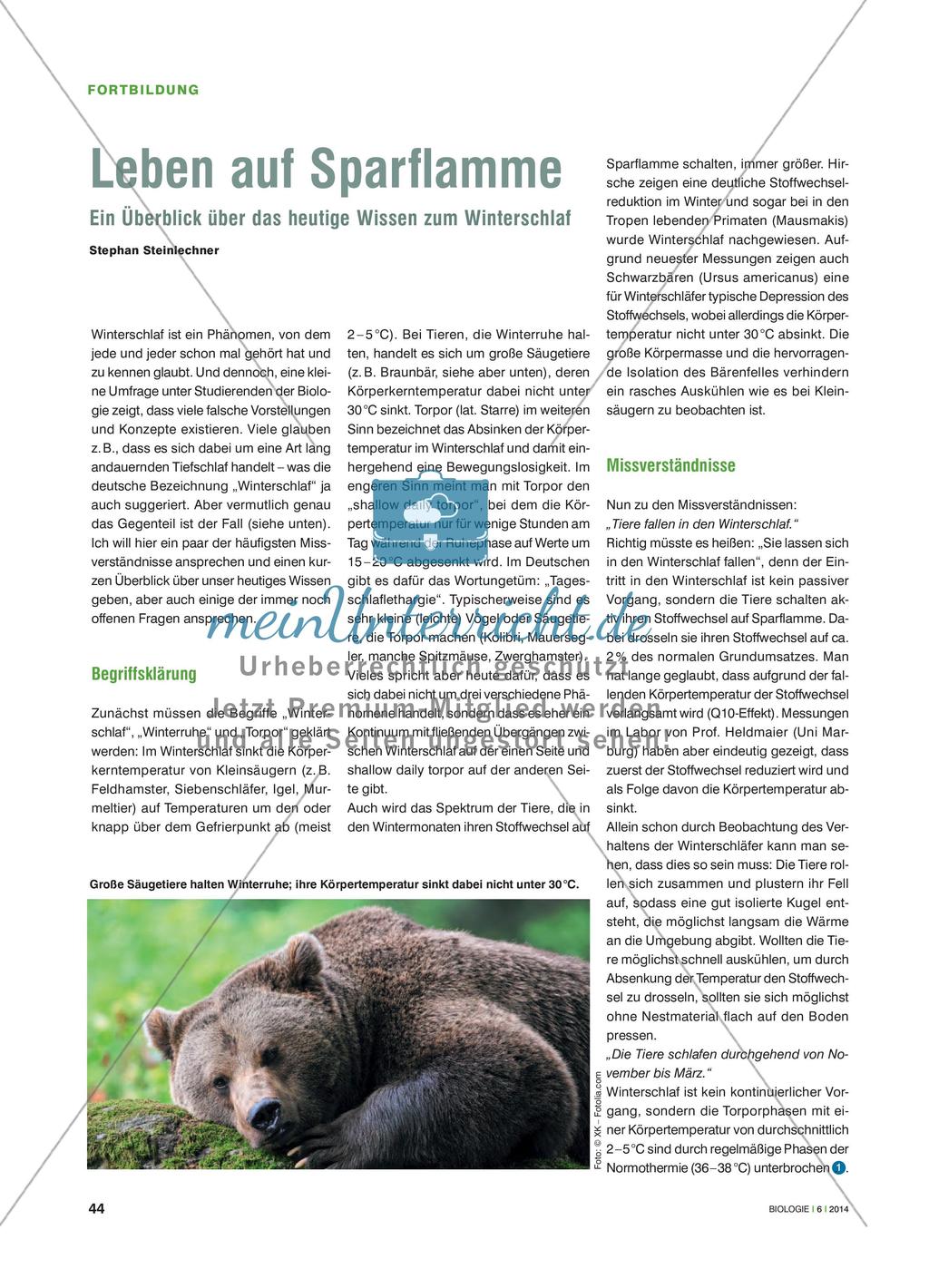 Leben auf Sparflamme - Ein Überblick über das heutige Wissen zum Winterschlaf Preview 1